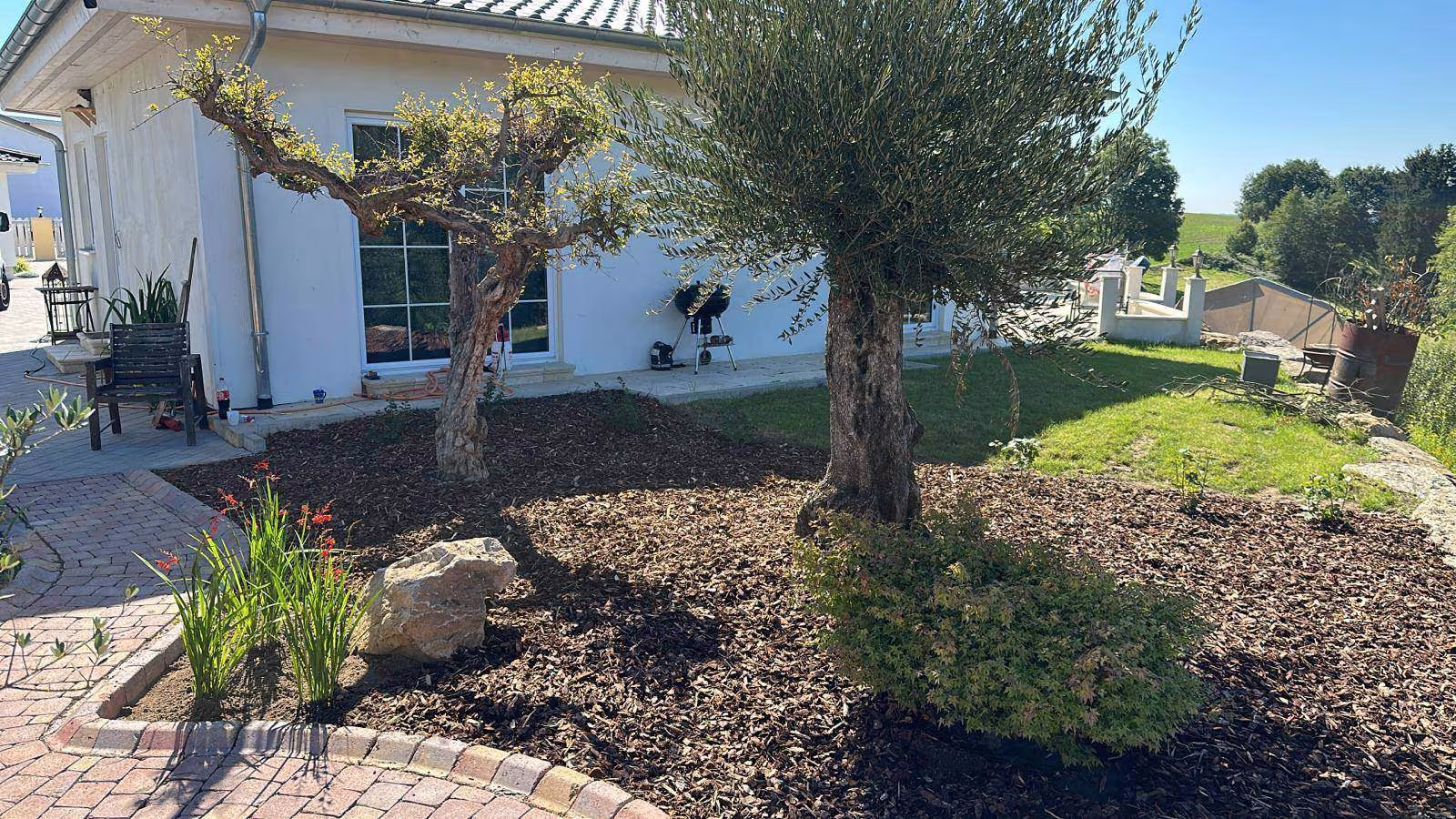 Fachgerecht gestaltete Außenanlage mit Pflasterarbeiten und Gartenmauern von RenoTec in Lobbach